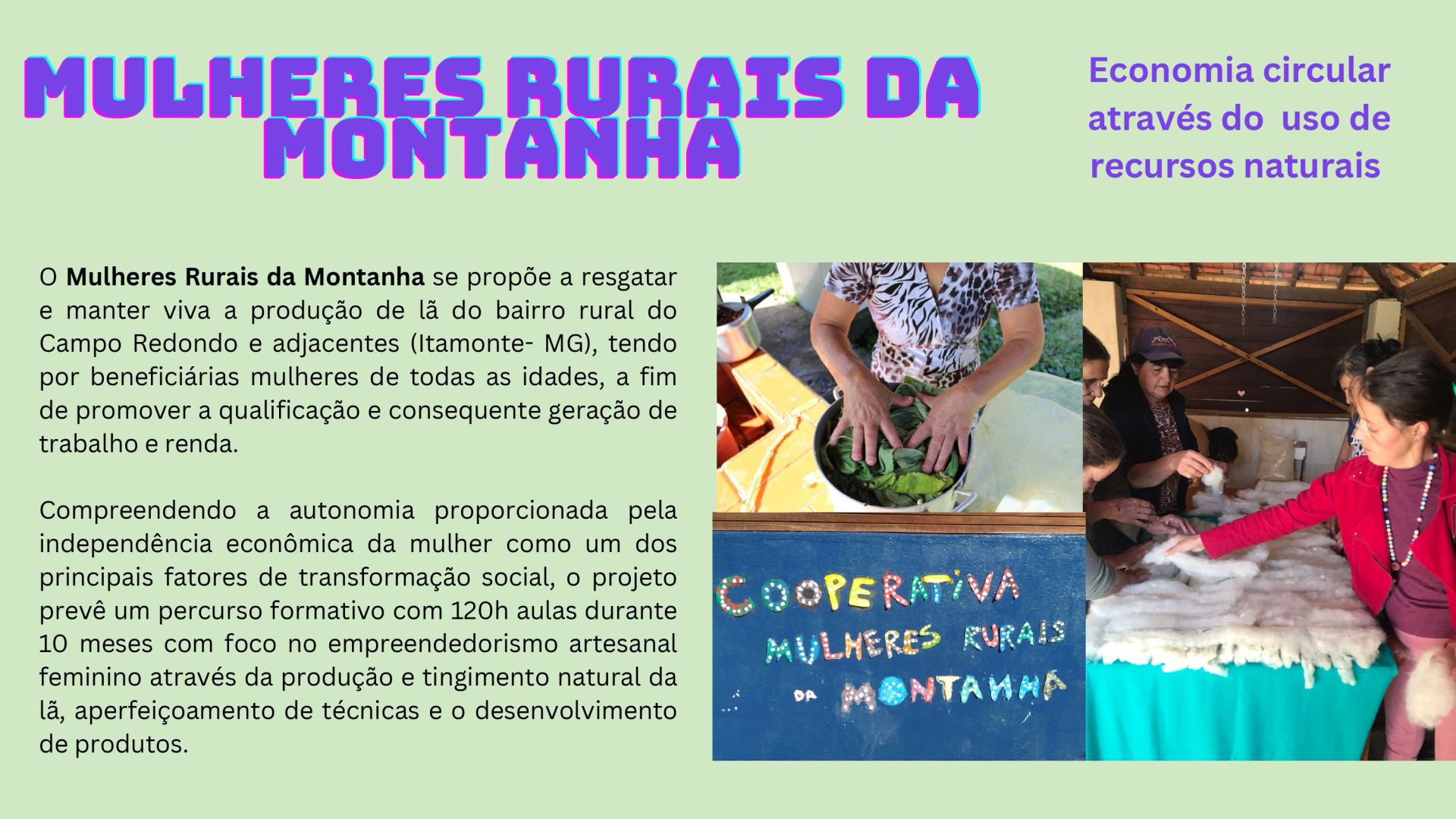 Nascentes Criativas