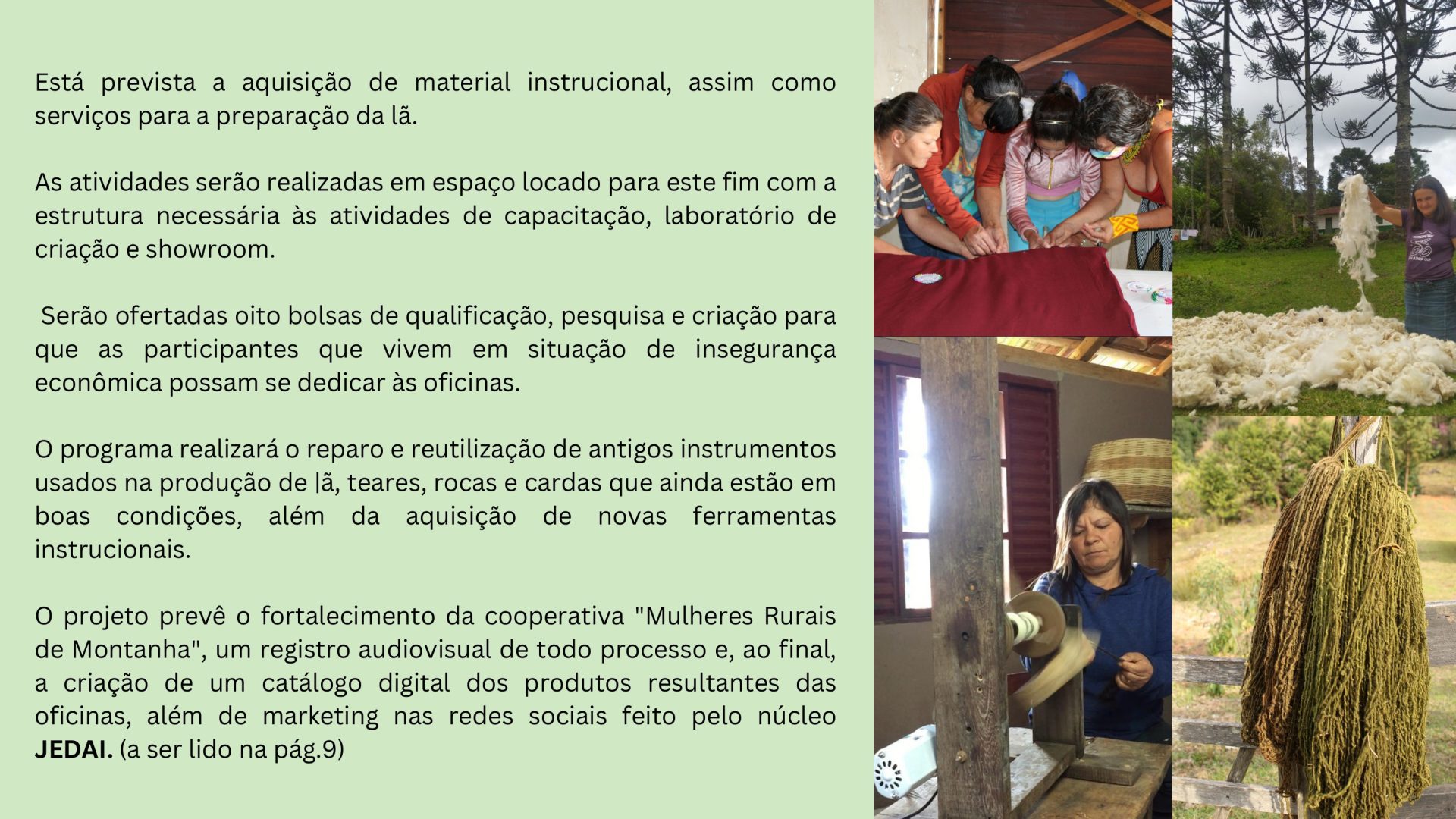Nascentes Criativas